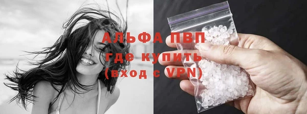 прущие грибы Володарск